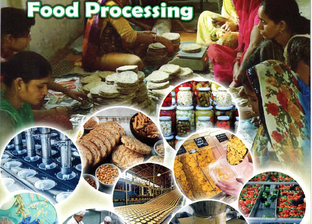 Diploma in Food Production (D.F.P.)
